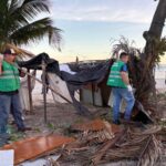 Segurança Cidadã retira estruturas irregulares e fogueiras na Praia da Avenida