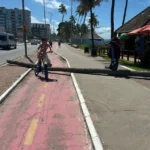 Árvore cai na orla de Jatiúca e interrompe circulação em ciclovia e calçada