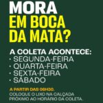 Prefeitura reforça orientações sobre coleta de lixo em Boca da Mata e pede colaboração da população