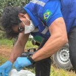 Operação prende maior desmatador da Caatinga em Alagoas